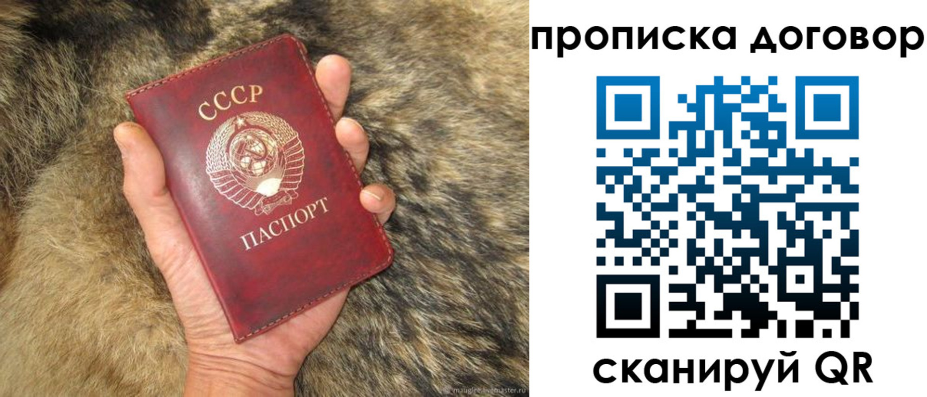 прописка регистрация в Белореченске